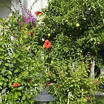 호텔 Sunlight Garden 시데