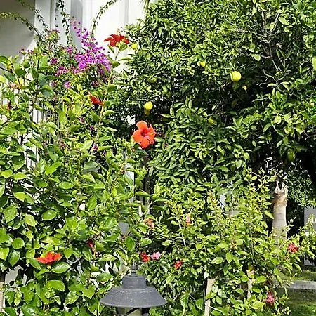 Hotel Sunlight Garden 3*
