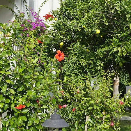 מלון Sunlight Garden סייד