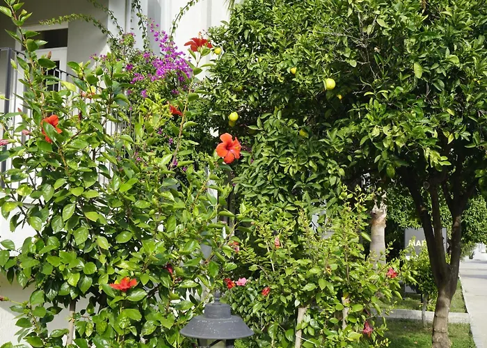 Szálloda Sunlight Garden Side